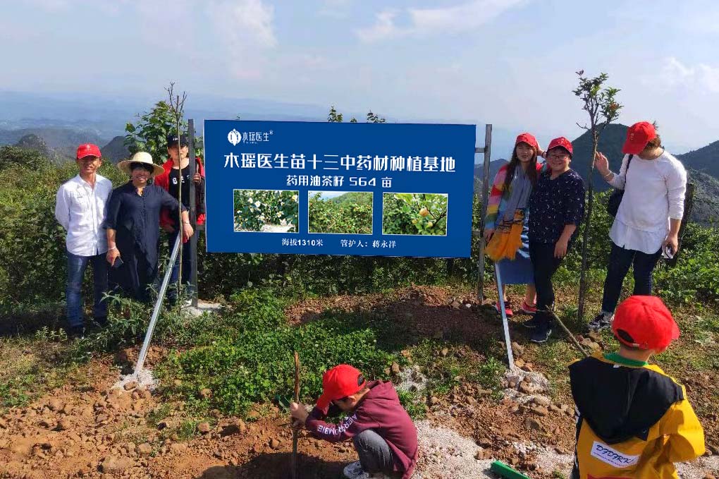 药材基地