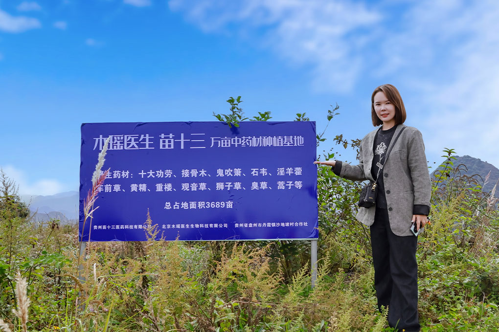 药材基地